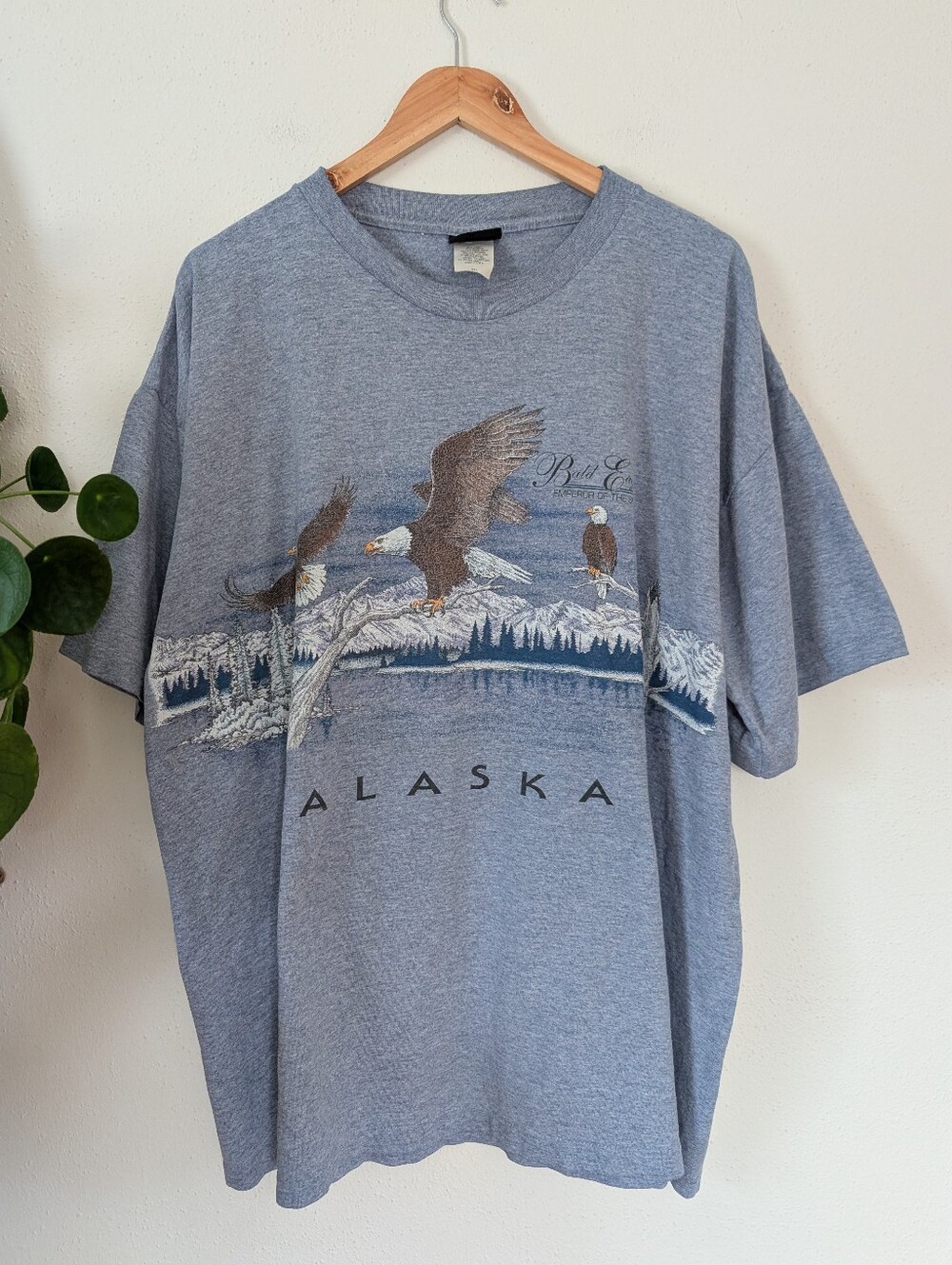 Alaska | Vintage | XXL | Bald Eagle Tee